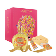 Delice des Fruits Medium Sets<span class='productImages'>