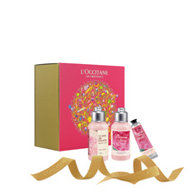Pivoine Flora Small Sets<span class='productImages'>