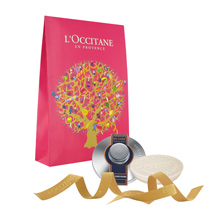 Cade Opaque Sachets Duos<span class='productImages'>