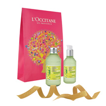 Angelica Opaque Sachets Duos<span class='productImages'>