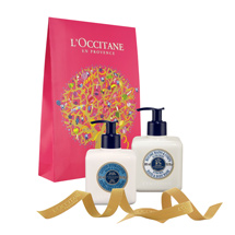 Shea Opaque Sachets Duo 2<span class='productImages'>