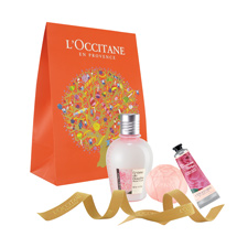 Pivoine Flora Opaque Sachets Trios<span class='productImages'>