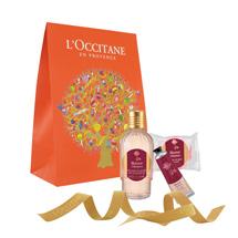 Rose Opaque Sachets Trios<span class='productImages'>