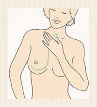 For a redefined bust