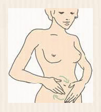 A firm stomach