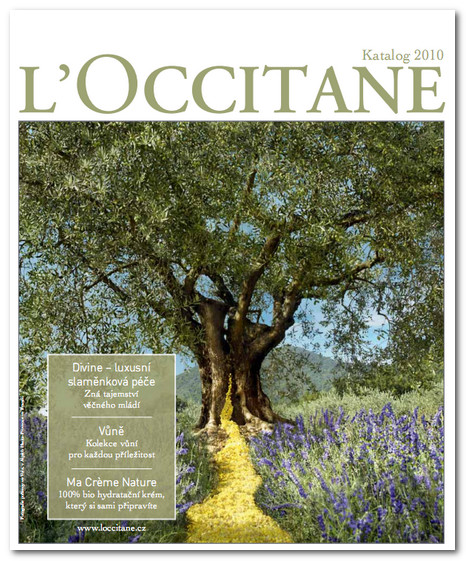 Katalog 2010