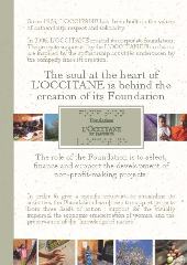 Foundation Brochure 09