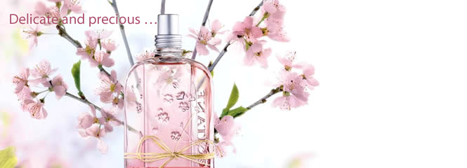 Cherry blossom