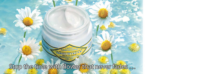 Immortelle
