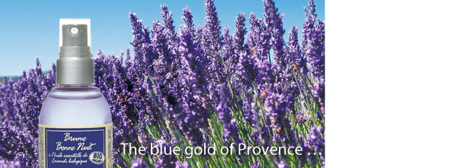 Lavender