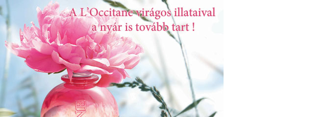 ÚJDONSÁGOK