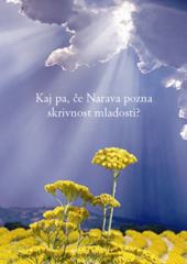 DivineSLO_bro&scaron;ura