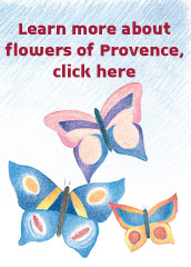 L'Occitane en Provence
