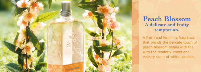 Peach Blossom