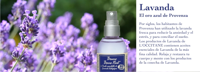 Lavanda