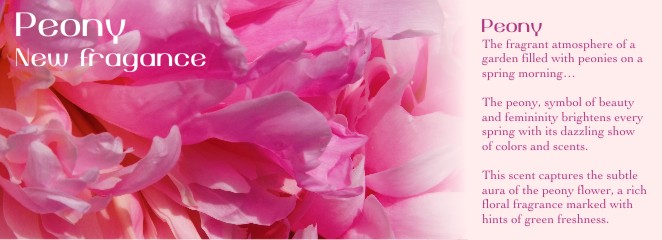 Peony