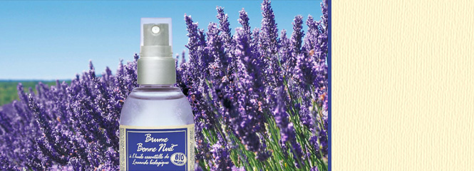 Lavanda