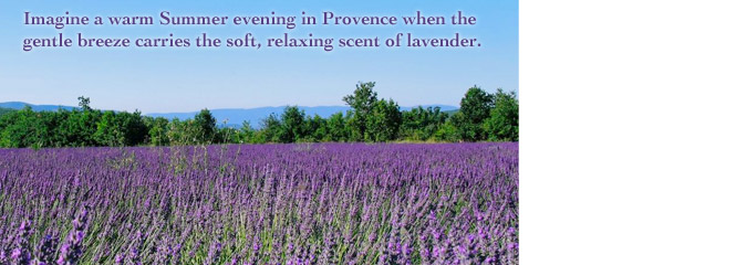 Lavender 