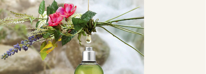 Hair Care