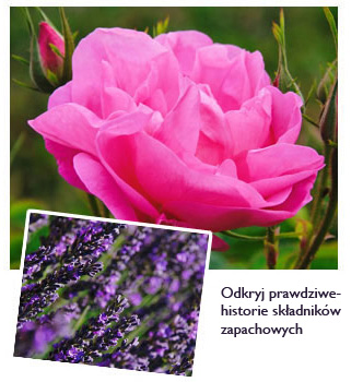 Odkryj
