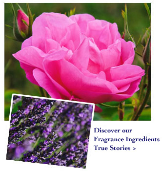 Discover