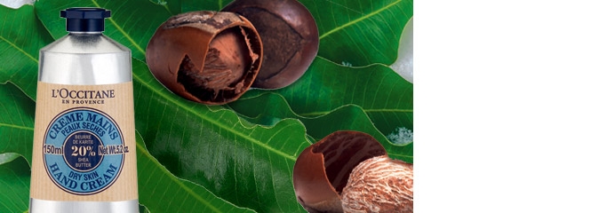 Shea Butter