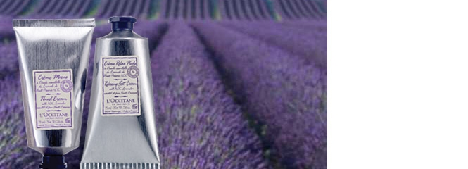 Lavanda