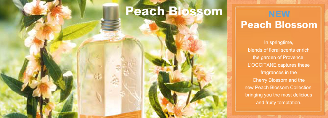 Peach Blossom