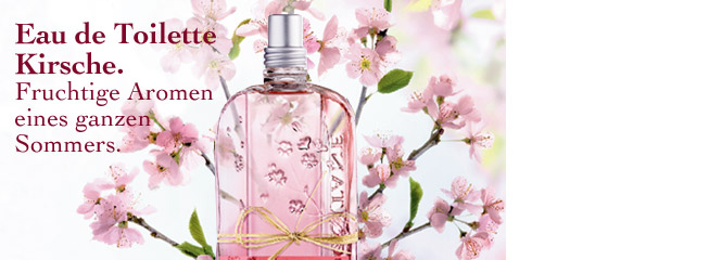 Kirschblüte