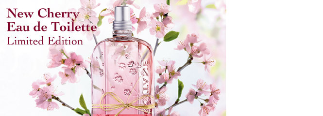 Cherry Blossom
