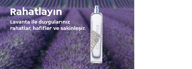 Lavanta Hasatı