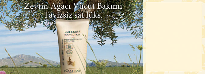 Zeytin Hasatı