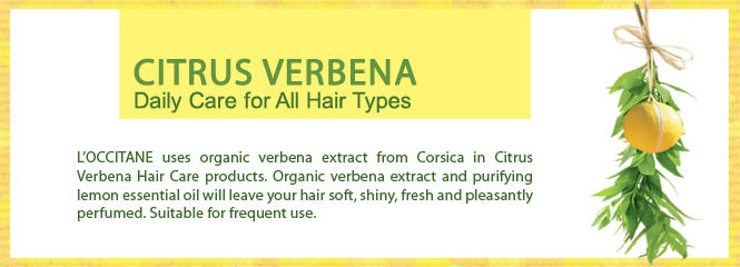 VERBENA - Daily freshness