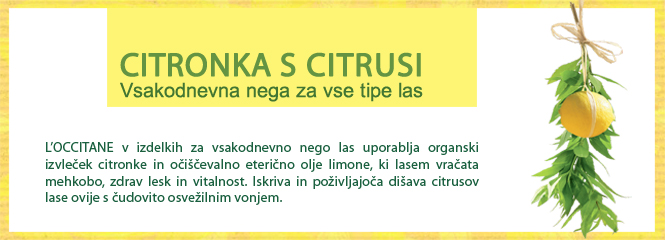 Citronka s citrusi za vsakodnevno svežino