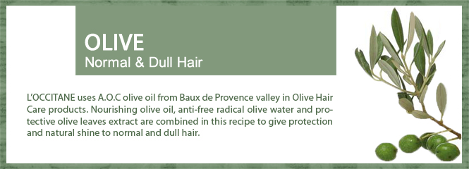 OLIVE - Restore shine