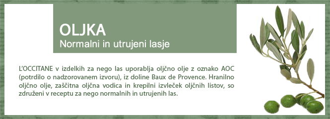 Oljka za sijaj