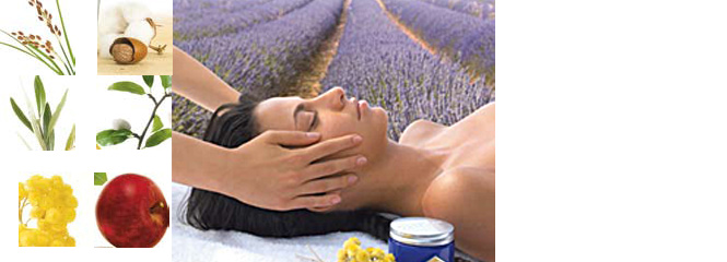 L’OCCITANE combines the effectiveness of plants and their perfect
affinity with the skin in six skincare ranges. 
- Almond-Apple: protection against the first signs of aging.
- Immortele: for anti-aging action and a more even complexion.
- Shea Butter: nourishing care and protection for dry skin.
- Shea & Coton: comforting care for sensitive skin.
- Olive: radiance-boosting and moisturizing* care for normal and dull skin.
- Red Rice: balancing and purifying care for combination and oily skin.