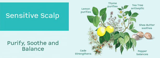 Sensitive Scalp & Anti Dandruff