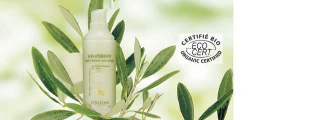 Organic Olive