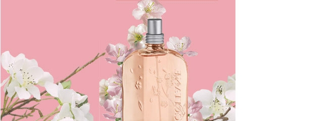 Flor de Cerezo
