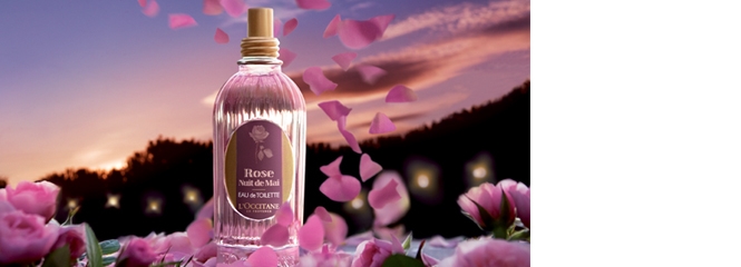 Rosa Noche de Mayo