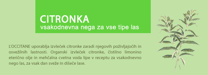 Citronka s citrusi za vsakodnevno svežino