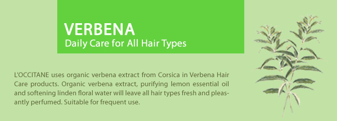VERBENA - Daily freshness