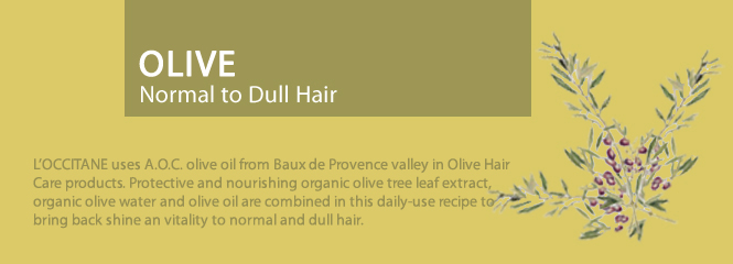 OLIVE - Restore shine