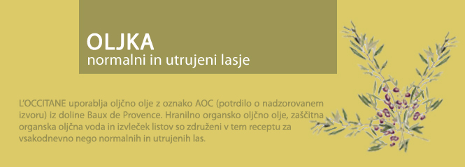 Oljka za sijaj