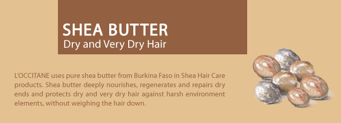 SHEA BUTTER - Intensive&nbsp;nourishing