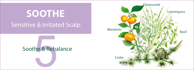 5 Essential Oils to SOOTHE