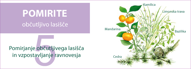 5 eteričnih olj za pomirjanje