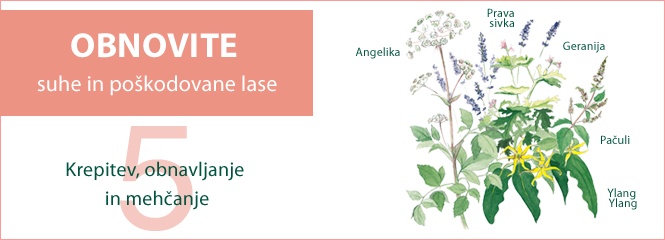 5 eteričnih olj za obnavljanje