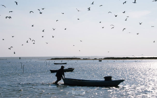 Fishing on the Vaccarès lagoon, Camargue.